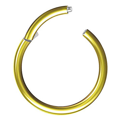 Piersando Titan Piercing Ring für Septum Tragus Helix Ohr Nase Lippe Brust Intim Nasenpiercing Ohrpiercing Lippenpiercing Clicker Scharnier Gold 1,2mm x 10mm von Piersando