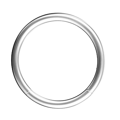 Piersando Universal Piercing Segmentring Smooth Septum für Tragus Helix Ohr Nase Lippe Brust Intim Scharnier Clicker Ring Chirurgenstahl 1,2 x 8mm Silber Piersando Universal Piercing Segmentring Smooth Septum für Tragus Helix Ohr Nase Lippe Brust Intim Scharnier Clicker Ring Chirurgenstahl 1,2 x 8mm Silber von Piersando