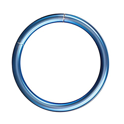Piersando Universal Piercing Segmentring Smooth Septum für Tragus Helix Ohr Nase Lippe Brust Intim Scharnier Clicker Ring Chirurgenstahl 1,6 x 12mm Blau Piersando Universal Piercing Segmentring Smooth Septum für Tragus Helix Ohr Nase Lippe Brust Intim Scharnier Clicker Ring Chirurgenstahl 1,6 x 12mm Blau von Piersando