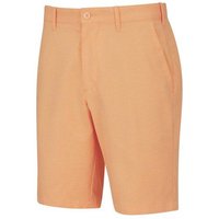 Ping Bradley Short Bermuda Hose orange von Ping