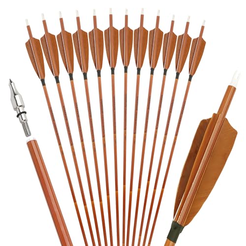 Poearcus Bogenschießen 30 Zoll Carbonpfeile 500 Spine Jagdpfeile mit 4“ Truthahnfeder Ziel Übungspfeile für Compound & Recurve &Traditionelle Bogen 6/12pcs (12) von Poearcus