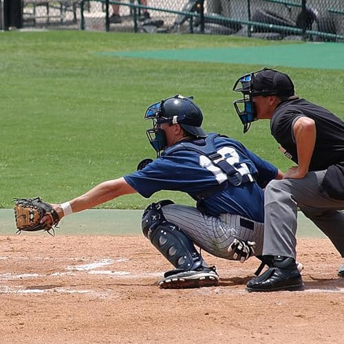 Baseball-Gesichtsabdeckung, Baseball-Gesichtsschutz, Baseballfänger-Abdeckung, verstellbare Baseball-Fangmasken mit Schiedsrichter-Gesichtskäfig, leicht und bequem für Baseball-Gesichtsabdeckung von Pokronc