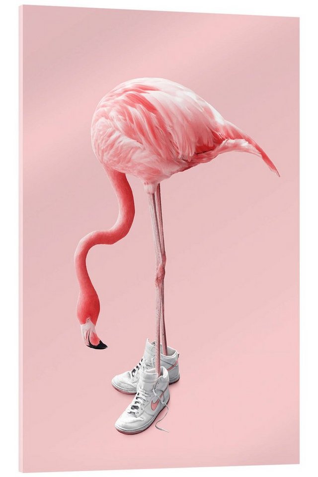 Posterlounge Acrylglasbild Jonas Loose, Sneaker-Flamingo, Jugendzimmer Illustration von Posterlounge