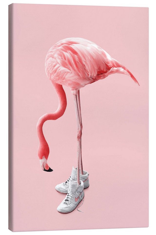 Posterlounge Leinwandbild Jonas Loose, Sneaker-Flamingo, Jugendzimmer Illustration von Posterlounge