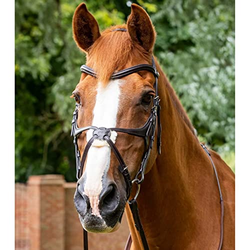 Premier Equine Trense Reithalfter mit gekreuztem Reithalfter Glorioso Premier Equine Trense Reithalfter mit gekreuztem Reithalfter Glorioso von Premier Equine