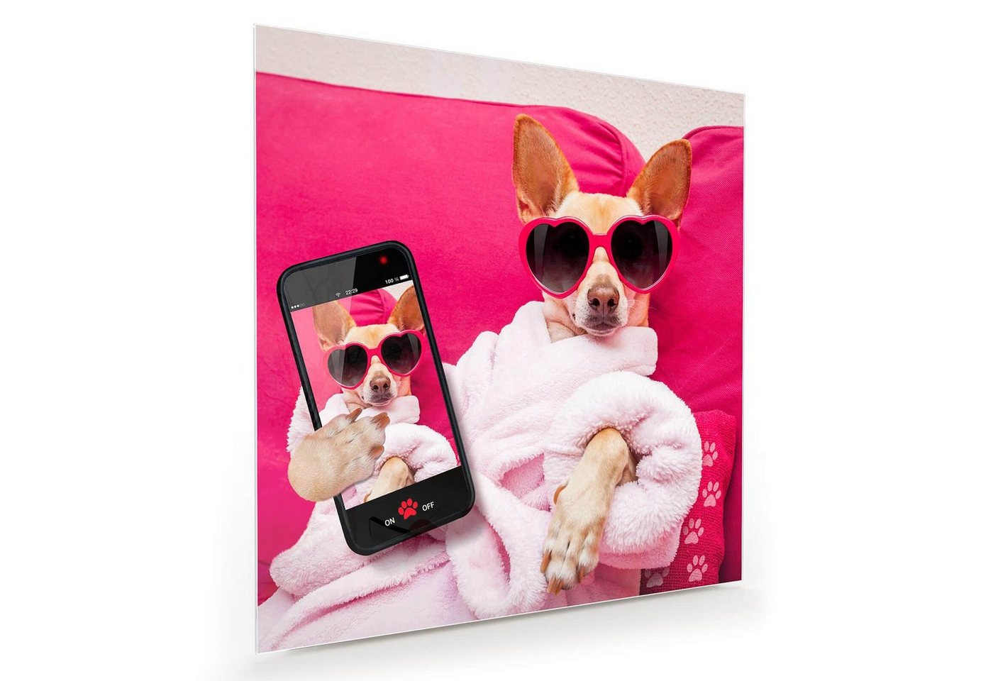Primedeco Glasbild Wandbild Quadratisch Hund mit Sonnenbrille mit Aufhängung, Tiere von Primedeco