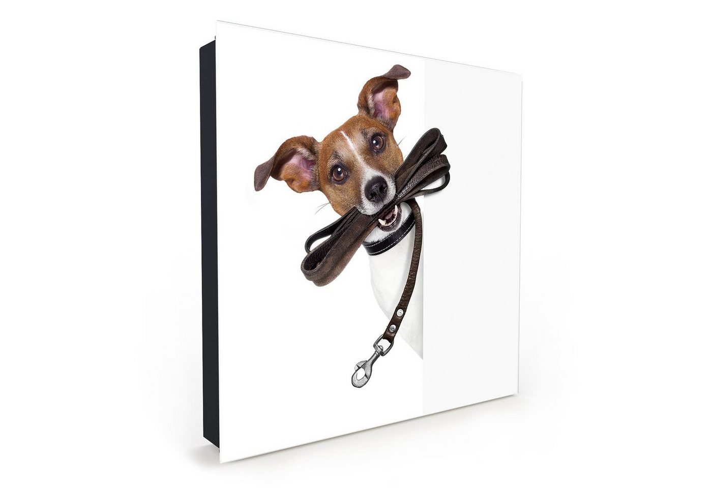 Primedeco Schlüsselkasten Magnetpinnwand mit Glasfront Hund mit Sonnenbrille (1 St) von Primedeco