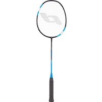 PRO TOUCH Badmintonschläger SPEED 500 PRO TOUCH Badmintonschläger SPEED 500 von Pro Touch