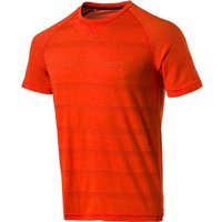 PRO TOUCH Herren T-Shirt Afi PRO TOUCH Herren T-Shirt Afi von Pro Touch