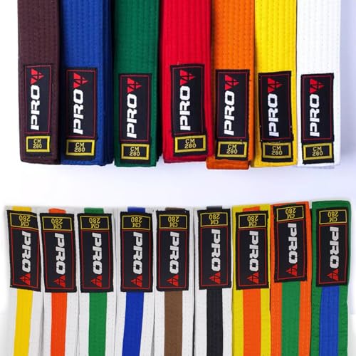 Pro4 Budo Gürtel 1 oder 2 farbig für Kampfsport Karate TKD Kickboxen Judo Jiu Jitsu 220 240 260 280 300 oder 320cm (blau, 320cm) von Pro4