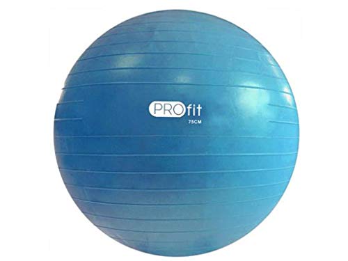 Profit DK2102 Gymnastikball Pilates Ball 55cm / 65cm / 75 cm mit GRATIS Pumpe # Anti-Burst Sitzball für Yoga Exercise Fitness Physiotherapie (Blau, 55 cm) von Profit DK2102