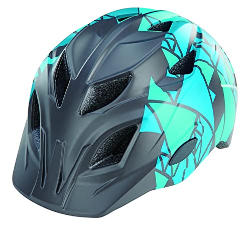 Prophete Kinder- und Jugend-Fahrradhelm 48-52 cm – Verstellbar mit LED-Licht – Robuster Inmold-Helm, TÜV/GS geprüft – Sicher & Komfortabel – blau Prophete Kinder- und Jugend-Fahrradhelm 48-52 cm – Verstellbar mit LED-Licht – Robuster Inmold-Helm, TÜV/GS geprüft – Sicher & Komfortabel – blau von Prophete