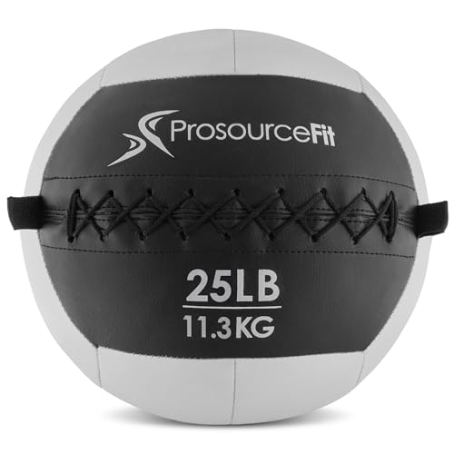 ProsourceFit Soft Medicine Balls, Wall Balls and Full Body Dynamic Exercises, 25 LB, Gray von ProsourceFit