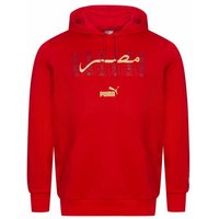 Ägypten PUMA FtblCulture Hood Herren Kapuzen Sweatshirt 772448-01 von Puma