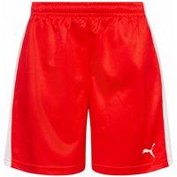 DHF Dänemark PUMA Damen Handball Shorts 750674-01 DHF Dänemark PUMA Damen Handball Shorts 750674-01 von Puma