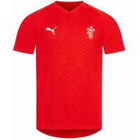 Dänemark PUMA Handball Herren Trikot 754913-01 Dänemark PUMA Handball Herren Trikot 754913-01 von Puma