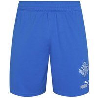 Island PUMA Herren Heim Shorts 766069-01 Island PUMA Herren Heim Shorts 766069-01 von Puma