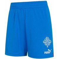 Island PUMA Kinder Heim Shorts 766074-01 von Puma