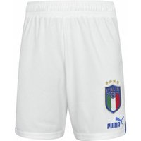 Italien FIGC PUMA Kinder Shorts 765669-08 Italien FIGC PUMA Kinder Shorts 765669-08 von Puma