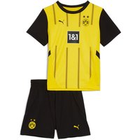 PUMA BVB Borussia Dortmund Heim-Minikit 2024/25 Kinder 01 - faster yellow/puma black 116 von Puma