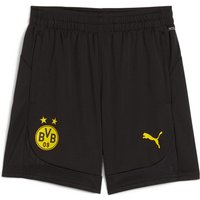 PUMA BVB Borussia Dortmund Trainingsshorts Kinder 02 - PUMA black/faster yellow 116 von Puma