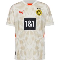 PUMA Borussia Dortmund 24-25 Heim Teamtrikot Herren von Puma