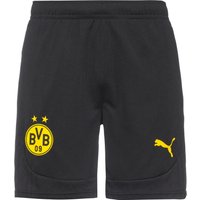 PUMA Borussia Dortmund Fußballshorts Herren von Puma