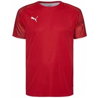 PUMA Cup Herren Trainings Trikot 656023-01 von Puma