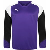 PUMA Esito 4 Herren Trainings Sweatshirt 655222-10 PUMA Esito 4 Herren Trainings Sweatshirt 655222-10 von Puma