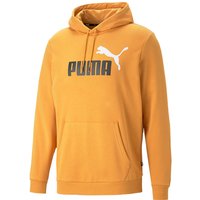 PUMA Ess+ Metallic 2 Col Big Logo Terry-Hoodie 30 - desert clay M von Puma