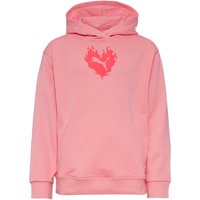 PUMA FLAMING LOVE Hoodie Mädchen von Puma