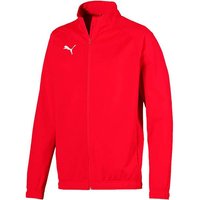 PUMA Fußball - Teamsport Textil - Jacken LIGA Sideline Polyesterjacke Dunkel von Puma