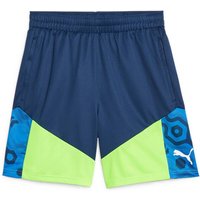 PUMA Herren Shorts individualCUP Shorts von Puma