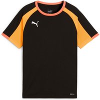 PUMA IndividualLIGA Trikot Kinder 07 - PUMA black/heat fire 176 von Puma