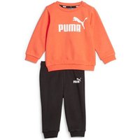 PUMA Kinder Sportanzug Minicats ESS Crew Jogger F von Puma