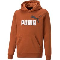 PUMA Kinder Sweatshirt ESS 2 Col Big Logo Hoodi von Puma