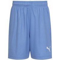 PUMA Liga Core Kinder Shorts 703437-18 von Puma