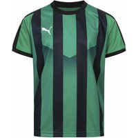 PUMA Liga Jersey Striped Kinder Trikot 703425-24 PUMA Liga Jersey Striped Kinder Trikot 703425-24 von Puma