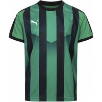 PUMA Liga Jersey Striped Kinder Trikot 703425-24 von Puma