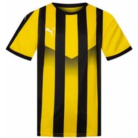 PUMA Liga Striped Kinder Trikot 703425-07 von Puma