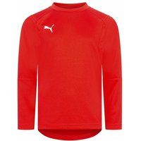 PUMA Liga Training Kinder Sweatshirt 655670-01 PUMA Liga Training Kinder Sweatshirt 655670-01 von Puma