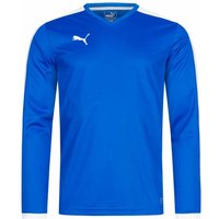 PUMA Pitch Herren Langarm Trikot 702088-02 PUMA Pitch Herren Langarm Trikot 702088-02 von Puma