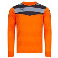 PUMA Stadium GK Herren Torwarttrikot 702089-36 von Puma