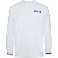 PUMA Team Crew TR Herren Sweatshirt 539696-02 PUMA Team Crew TR Herren Sweatshirt 539696-02 von Puma