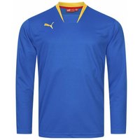 PUMA V-Konstrukt Herren Langarm Trikot 700386-29 PUMA V-Konstrukt Herren Langarm Trikot 700386-29 von Puma