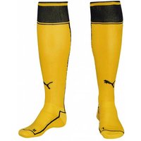 PUMA V1.08 Stutzen 700459-07 PUMA V1.08 Stutzen 700459-07 von Puma
