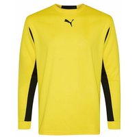 PUMA V5.06 GK Herren Torwarttrikot 700259-03 von Puma