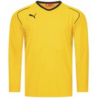 PUMA V5.08 Herren Langarmtrikot 700472-07 PUMA V5.08 Herren Langarmtrikot 700472-07 von Puma