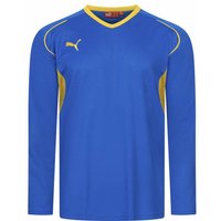 PUMA V5.08 Herren Langarmtrikot 700472-29 PUMA V5.08 Herren Langarmtrikot 700472-29 von Puma