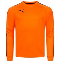 PUMA dryCELL Herren Torwarttrikot 703067-44 PUMA dryCELL Herren Torwarttrikot 703067-44 von Puma